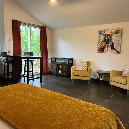 Apartment Le Mazet, Climatise Avec Acces Piscine *